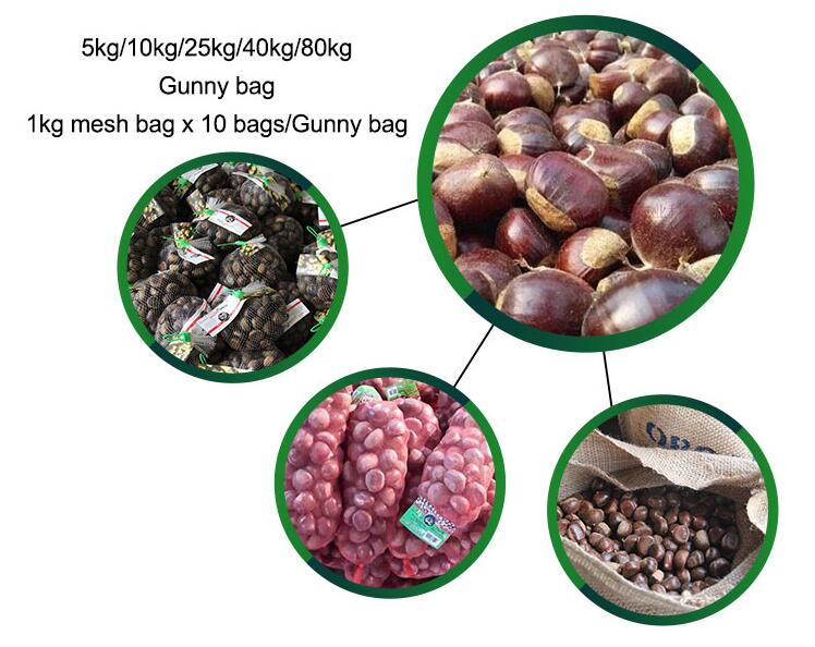 Fresh Tai Shan chestnut