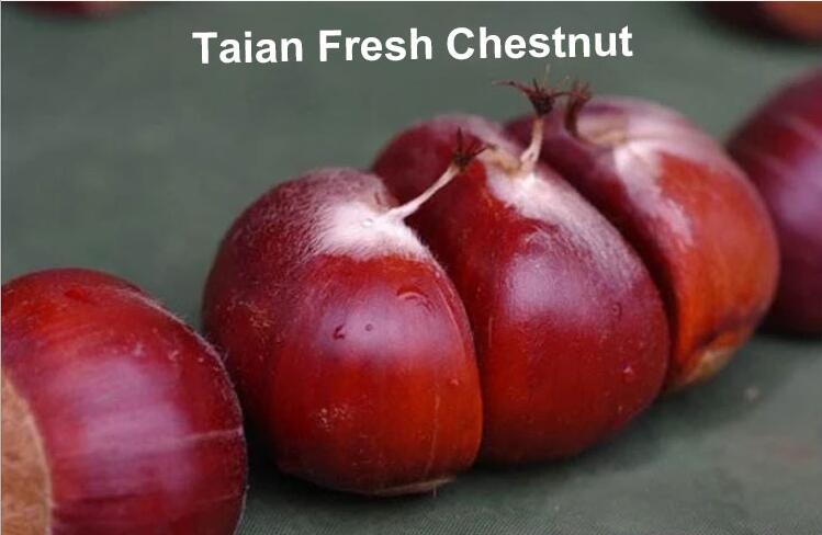 Fresh Tai Shan chestnut