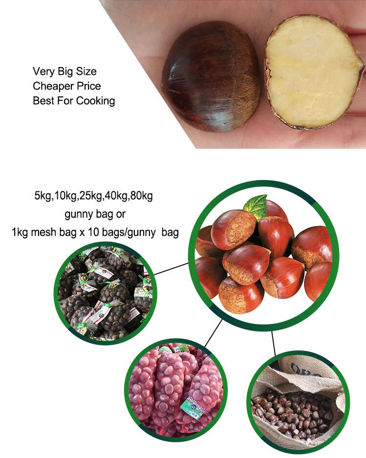 Fresh Dan Dong chestnut