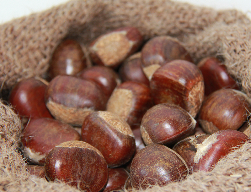 Fresh Tai Shan chestnut