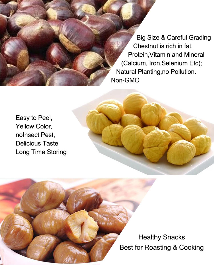 Fresh Tai Shan chestnut