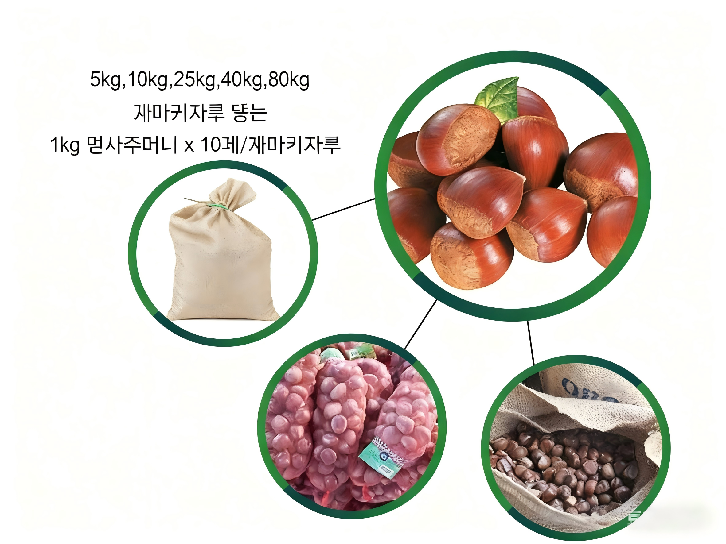 중국 신선한 단동 밤