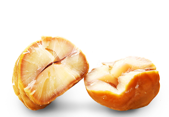 중국 신선한 교동 밤